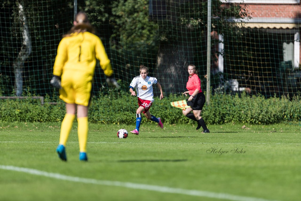 Bild 359 - wBJ Hamburger SV - Holstein Kiel : Ergebnis: 2:0